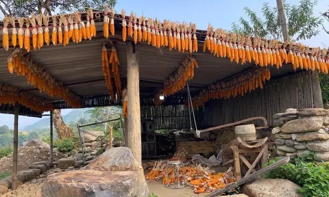 Du lịch đang phục hồi nên càng phải đặt chất lượng lên đầu